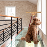 Glass Floor Walkways & Stair Treads Glass Floor Walkways & Stair Treads