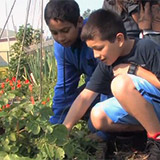 Cultivating Young Minds: A Net-Zero School for Tomorrow's Leaders Cultivating Young Minds: A Net-Zero School for Tomorrow's Leaders