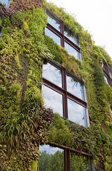 LEED AP BD+C Exam Prep LEED AP BD+C Exam Prep